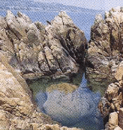 20040603011.gif